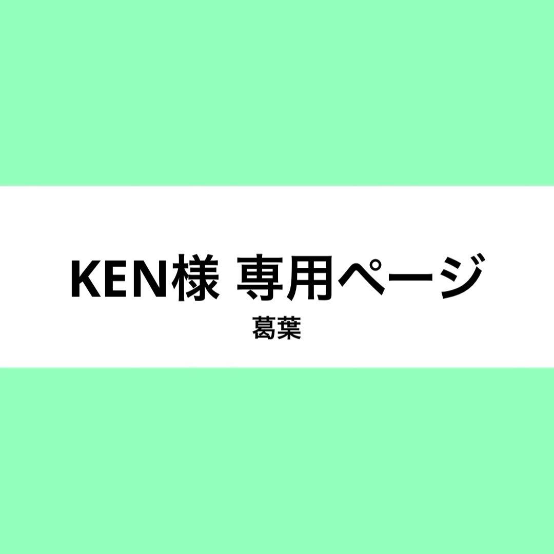 KEN様 ウィッグオーダー お見積もりページ