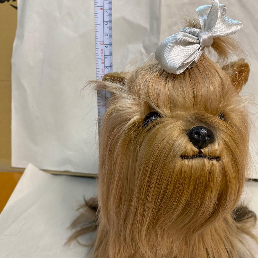 フォンテーヌ　ドレッシーペット　ヨークシャテリア