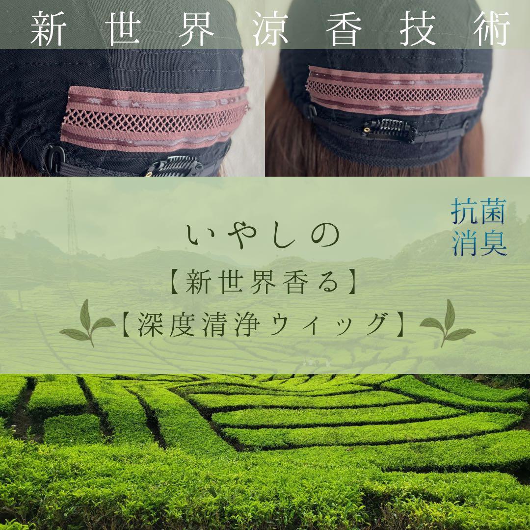 20252026新世界　人毛100%　フルウィッグ　医療ウィッグ　ロング