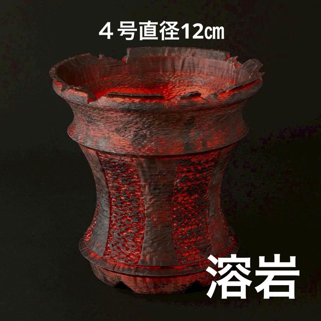 ペンギン様 牙城銀河　牙城溶岩　牙城鳳凰　螺旋青金　入道豹紋　４号直径12㎝