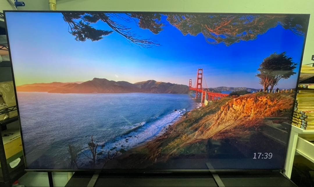 REGZA65型　2022年式　送料無料 TOSHIBA 65M550K