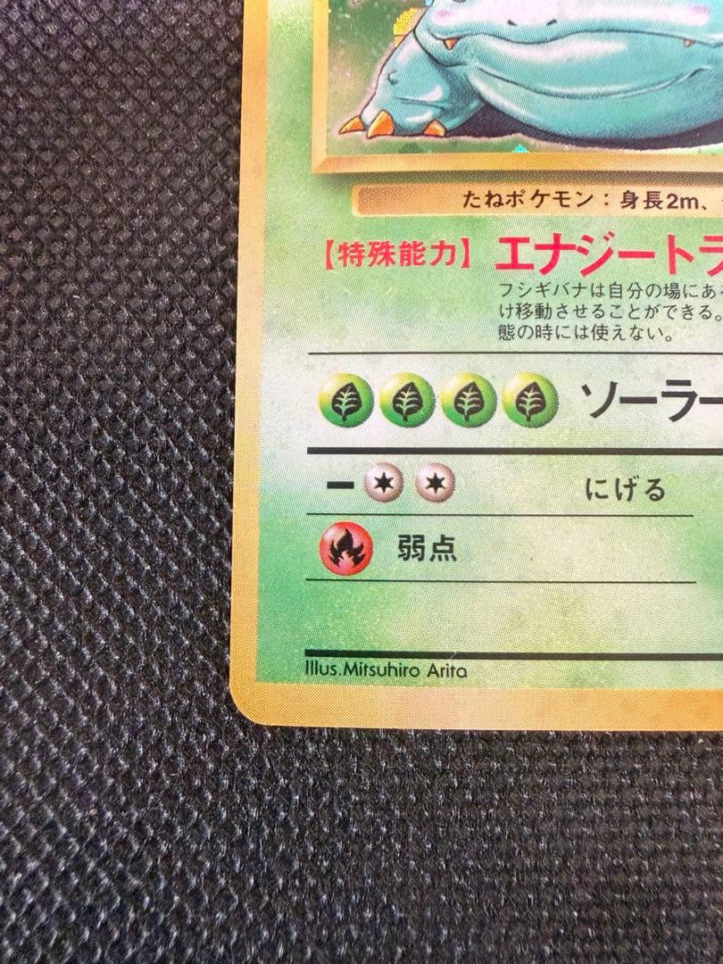 2枚セット 旧裏 カメックス フシギバナ ポケモンカード 初期