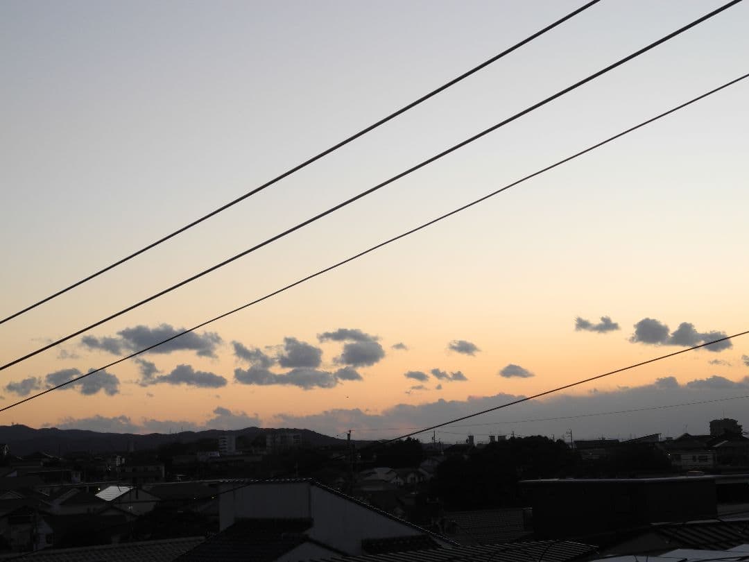 デジタルカメラ Nikon COOLPIX P7100