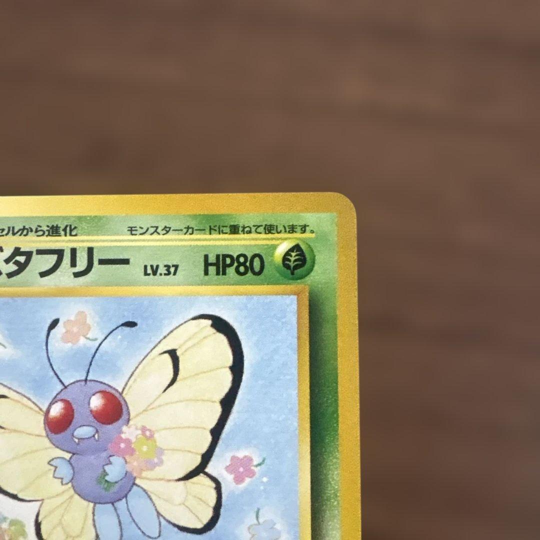 サザンアイランド　お花畑　旧裏ポケモンカード　ポストカードなし