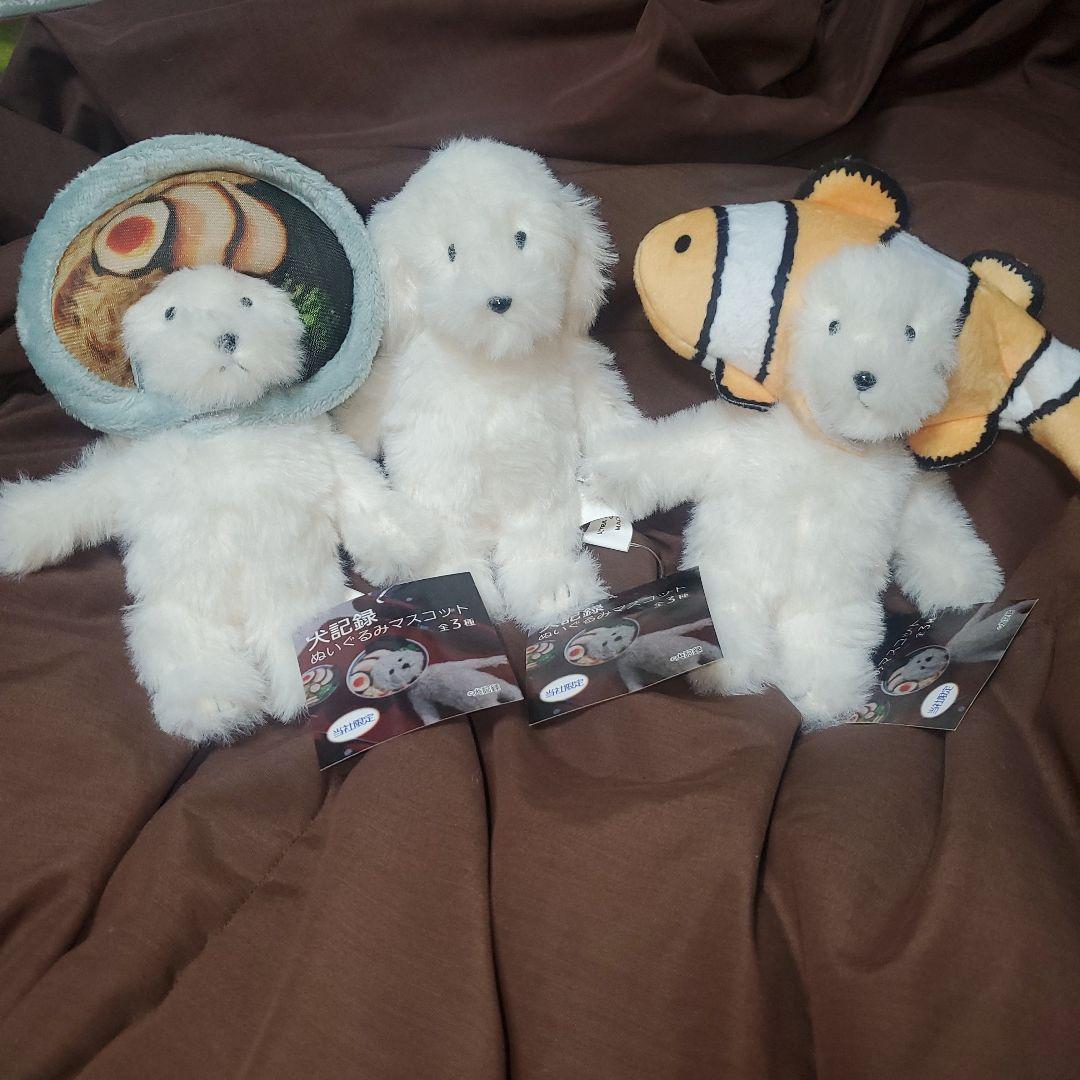 犬記録 ぬいぐるみマスコット モーリーファンタジー限定 ラーメン クマノミ