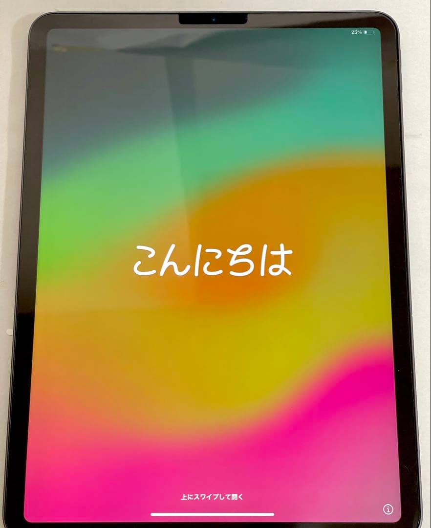 【Elin】Apple iPad pro(第2世代) 11インチ128GB