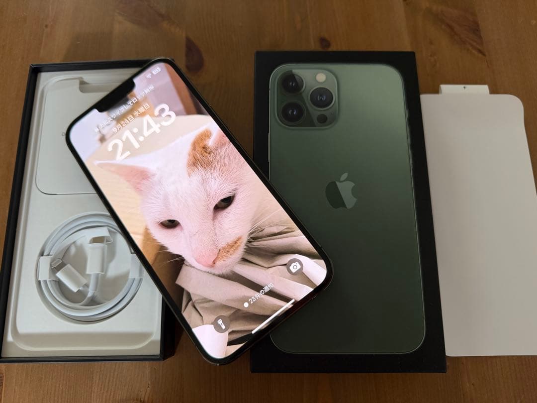 Apple iPhone 13 Pro Max 256GB アルパイングリーン