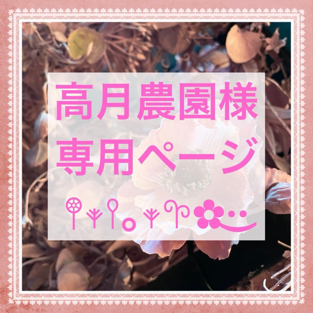 Wacoal パルファージュ 上下セットF65❣️イエロー♡ᵕ̈*大人可愛い♬.*