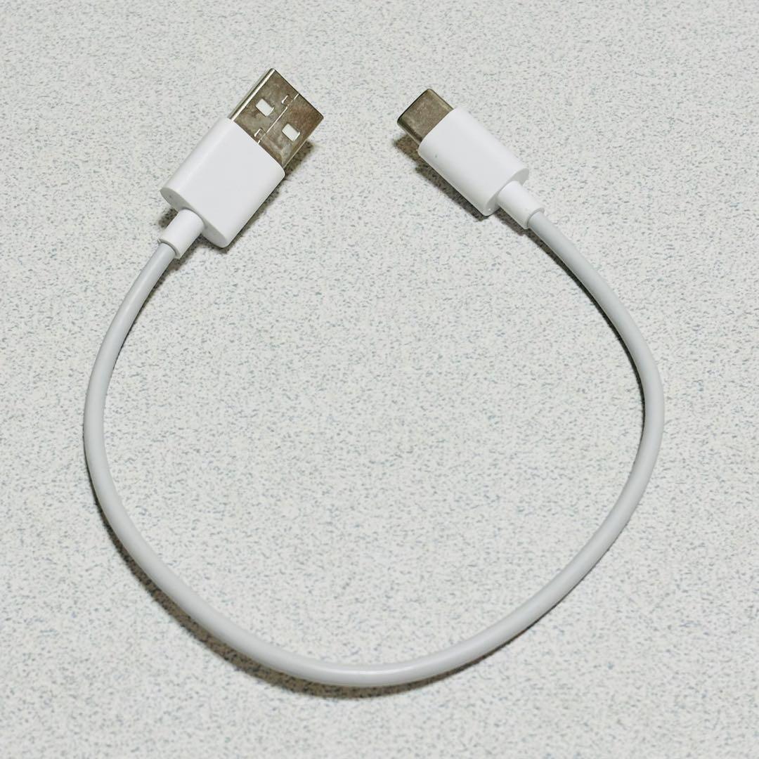 Victor ワイヤレスイヤホン イヤーカフ HA-NP1T