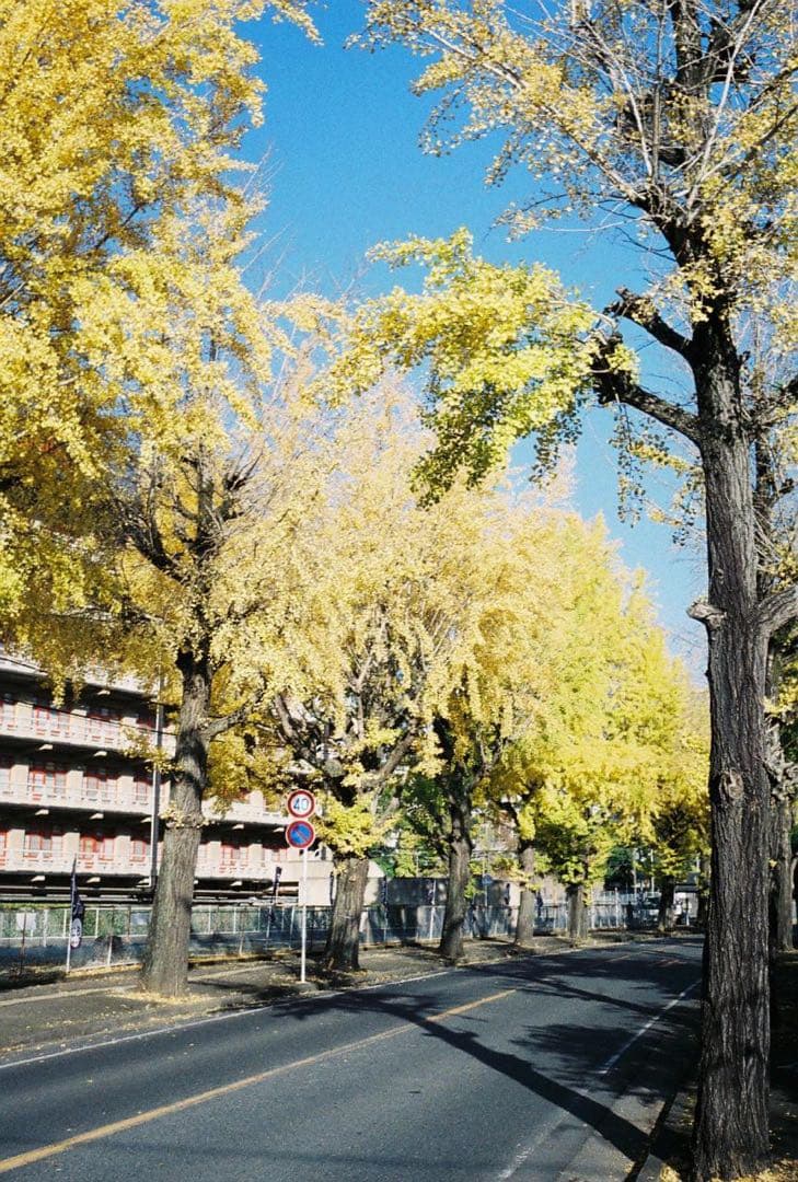 OLYMPUS・PEN EE2 整備済み