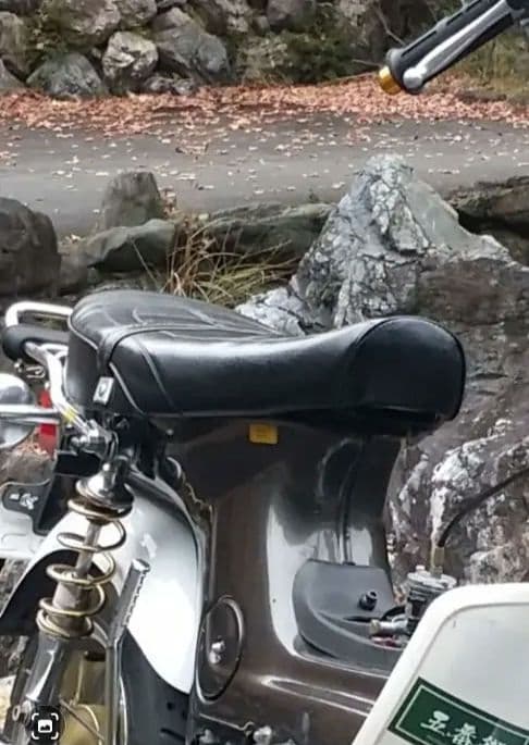 TANAKA シャリーシート　あんこ抜き　社外