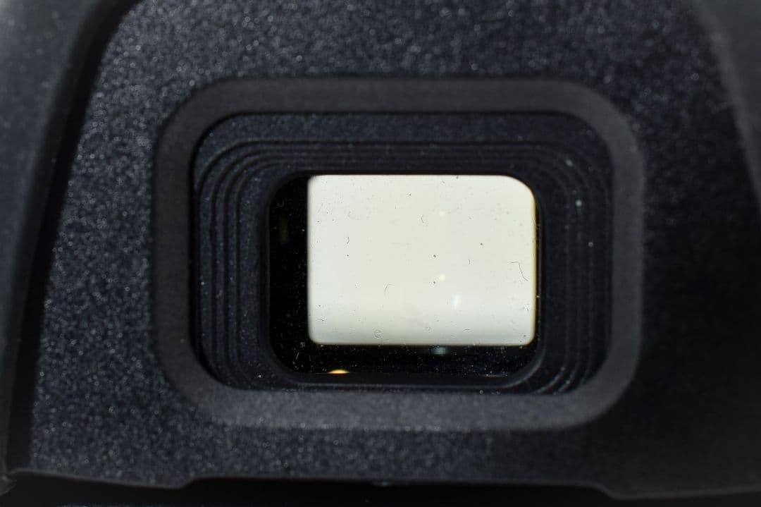 一眼レフデビュー 安心セット✨ニコン D3100✨ダブルレンズ✨ガイドモード搭載