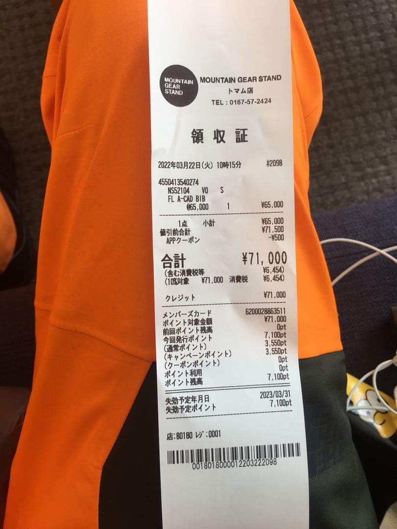 THE NORTH FACE ノースフェイス フューチャーライト ビブ メンズS