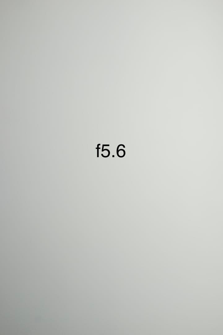 SONY RX1 Carl Zeiss 35mm/f2 フルサイズカメラ