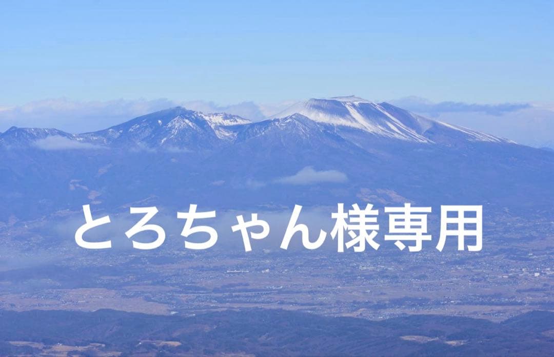 とろちゃん　10個セット