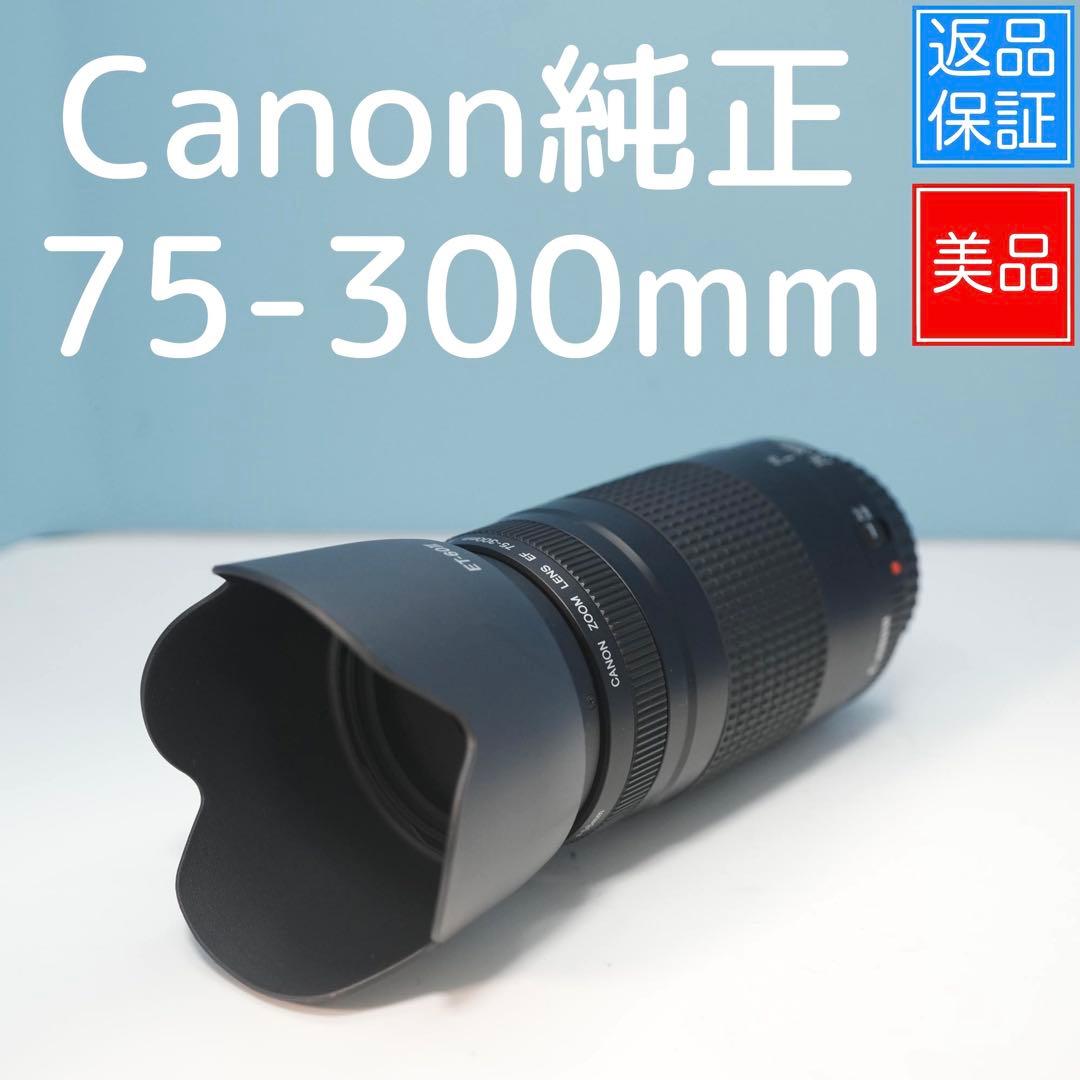 Canon純正 75-300mm 望遠レンズ 美品 a5148