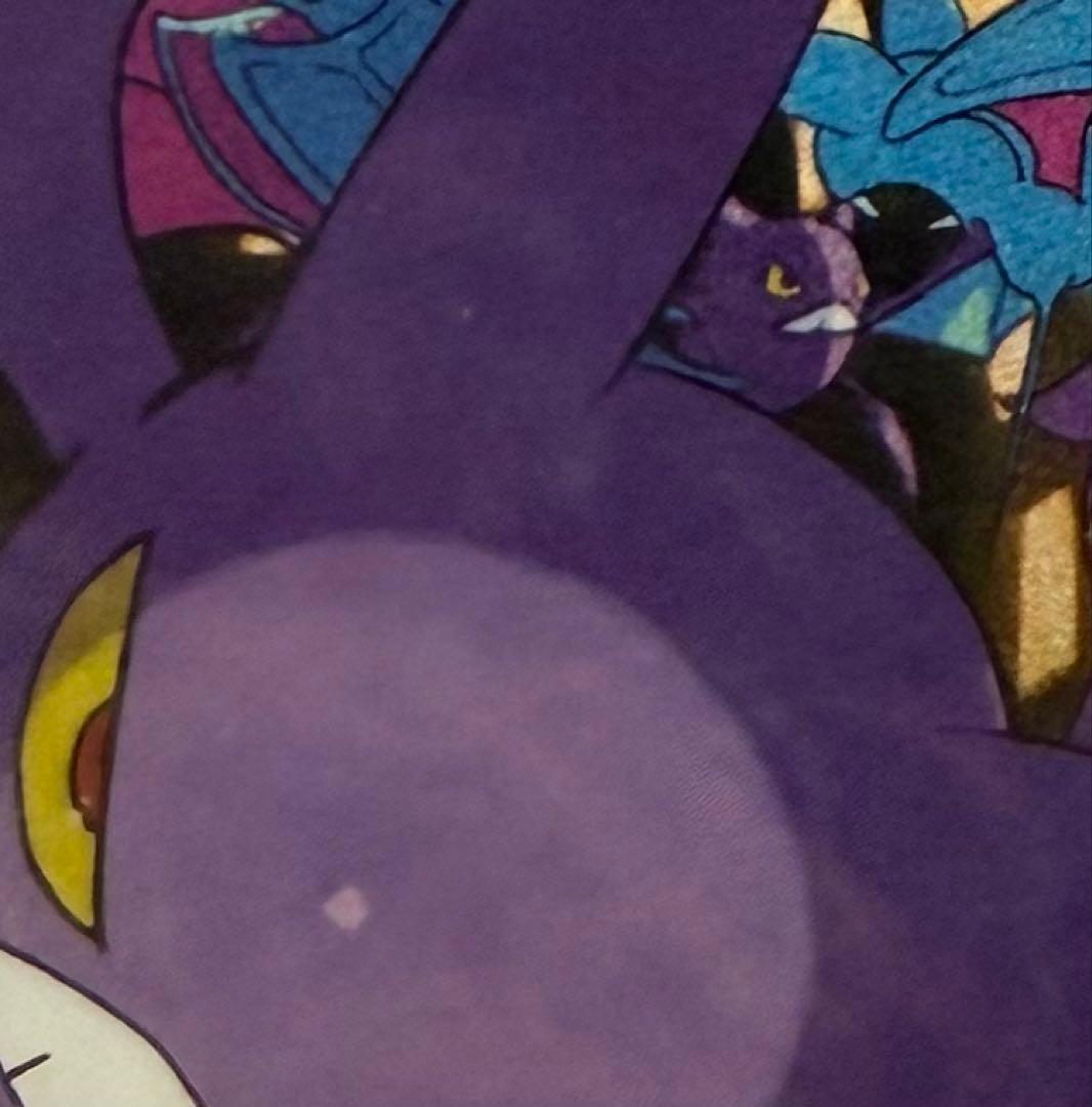 ロケット団のクロバットex SAR psa10 説明欄読んでください！