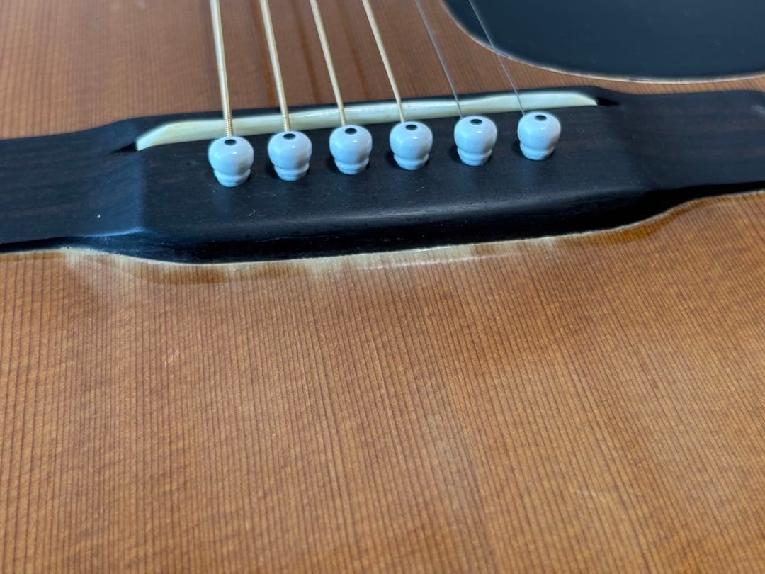 訳アリ特価⁉️レア❗️カワセ楽器オリジナルBILLY ビリー　調整済‼️