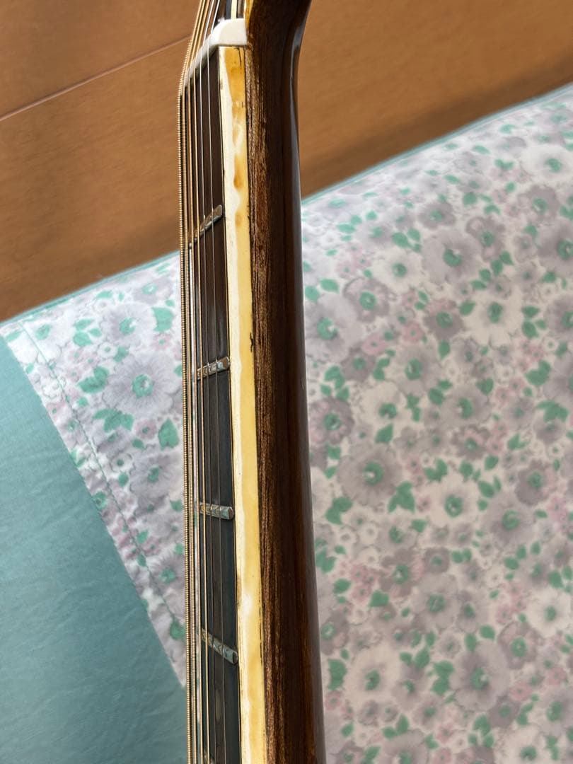 訳アリ特価⁉️レア❗️カワセ楽器オリジナルBILLY ビリー　調整済‼️