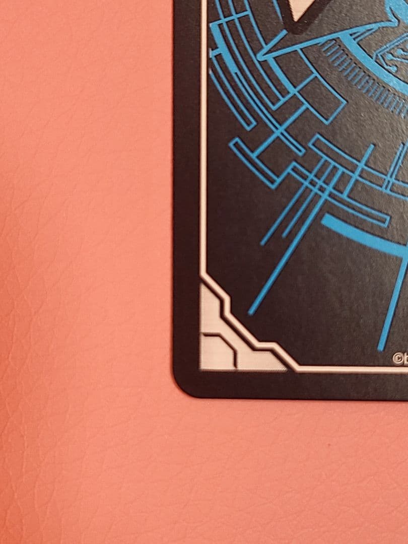 ヴァンガード スノウスキップ パルヴィ LSR