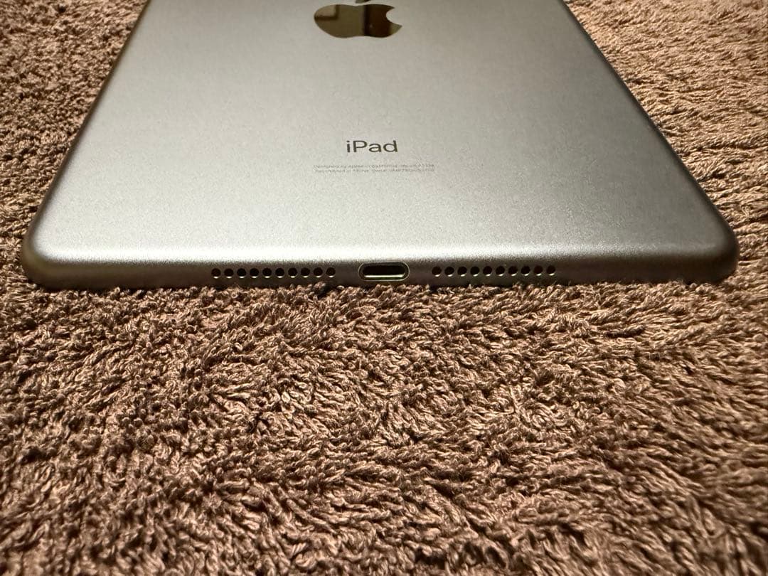 w*o様 ●iPad mini 第５世代 Cellularモデル　256GB S