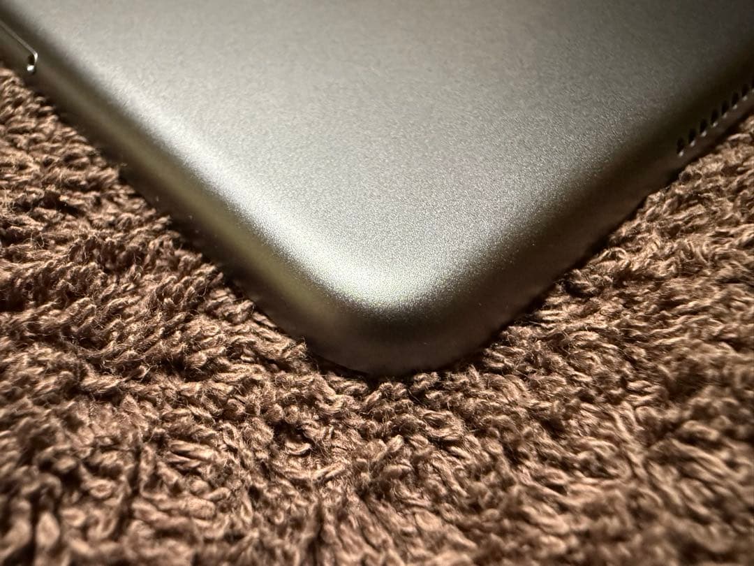 w*o様 ●iPad mini 第５世代 Cellularモデル　256GB S