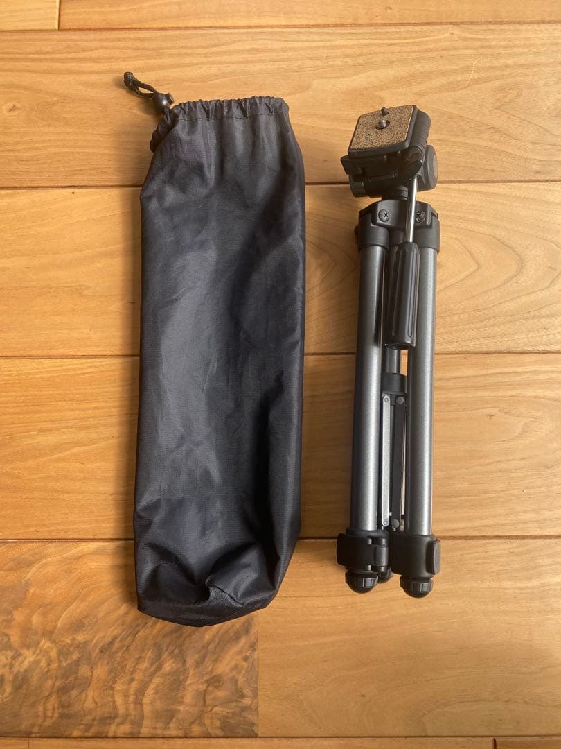 ソニー　ハンディカム　HDR-PJ800 付属品 三脚付き