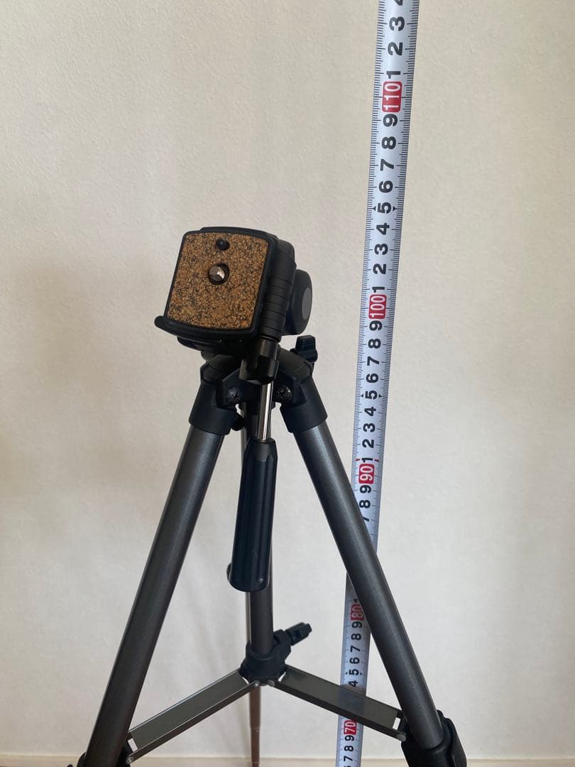 ソニー　ハンディカム　HDR-PJ800 付属品 三脚付き