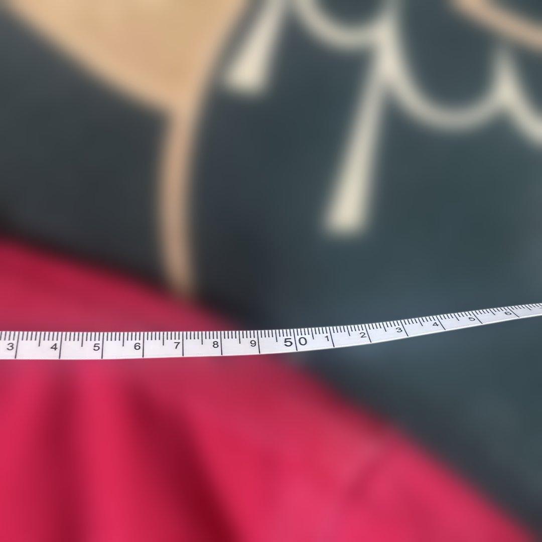 Carhartt レッド ジャンパー