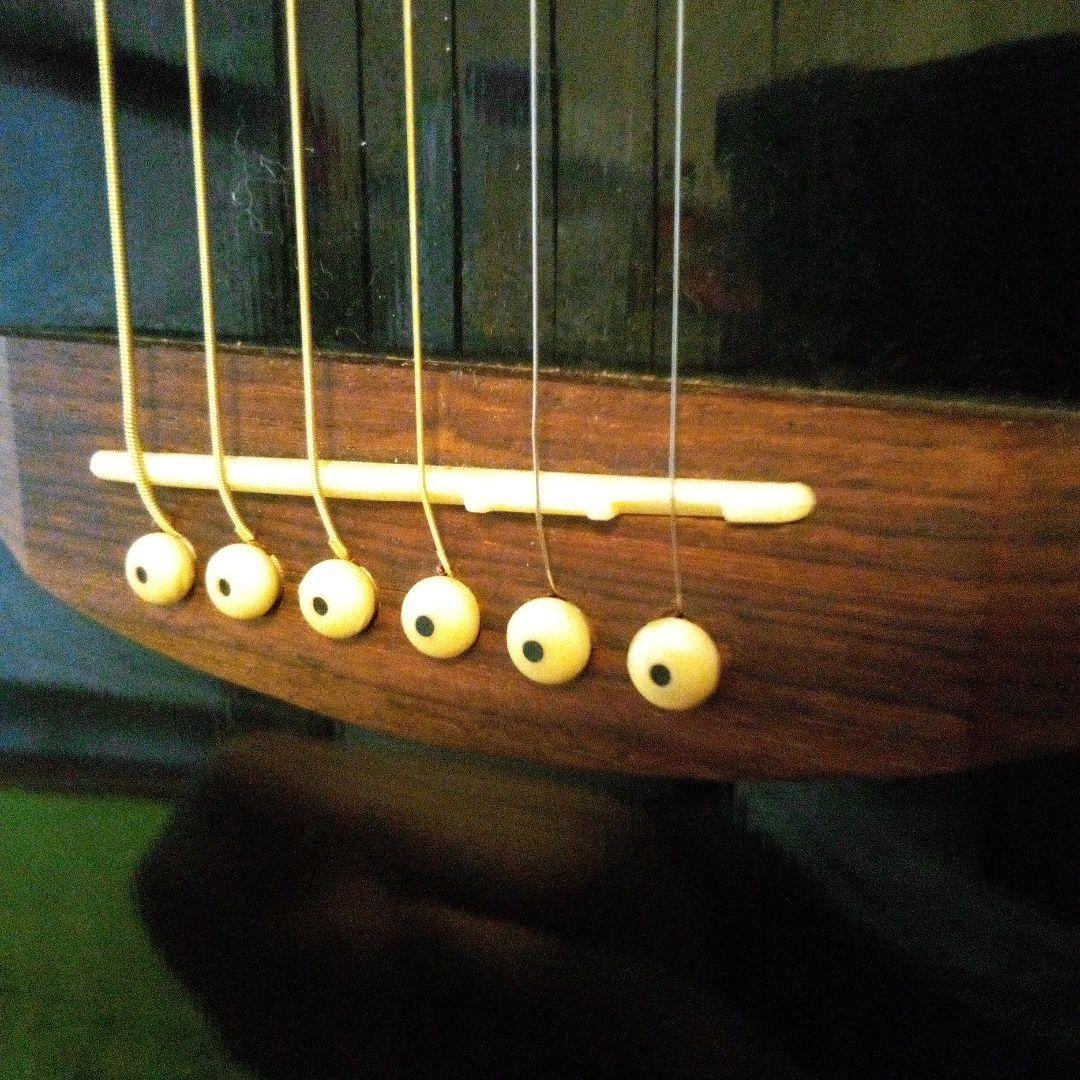 ツバメ11日迄Takamine Cooderエレアコギター大特価‼️