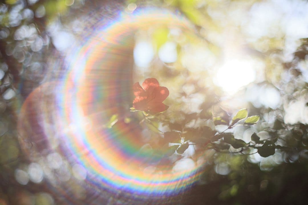 Super-Takumar 55mm F1.8 前期型 S/N：1087713