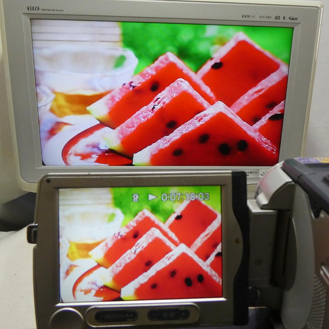 動作品 ソニーDCR-TRV30 MiniDV ビデオカメラDVDダビングに最適