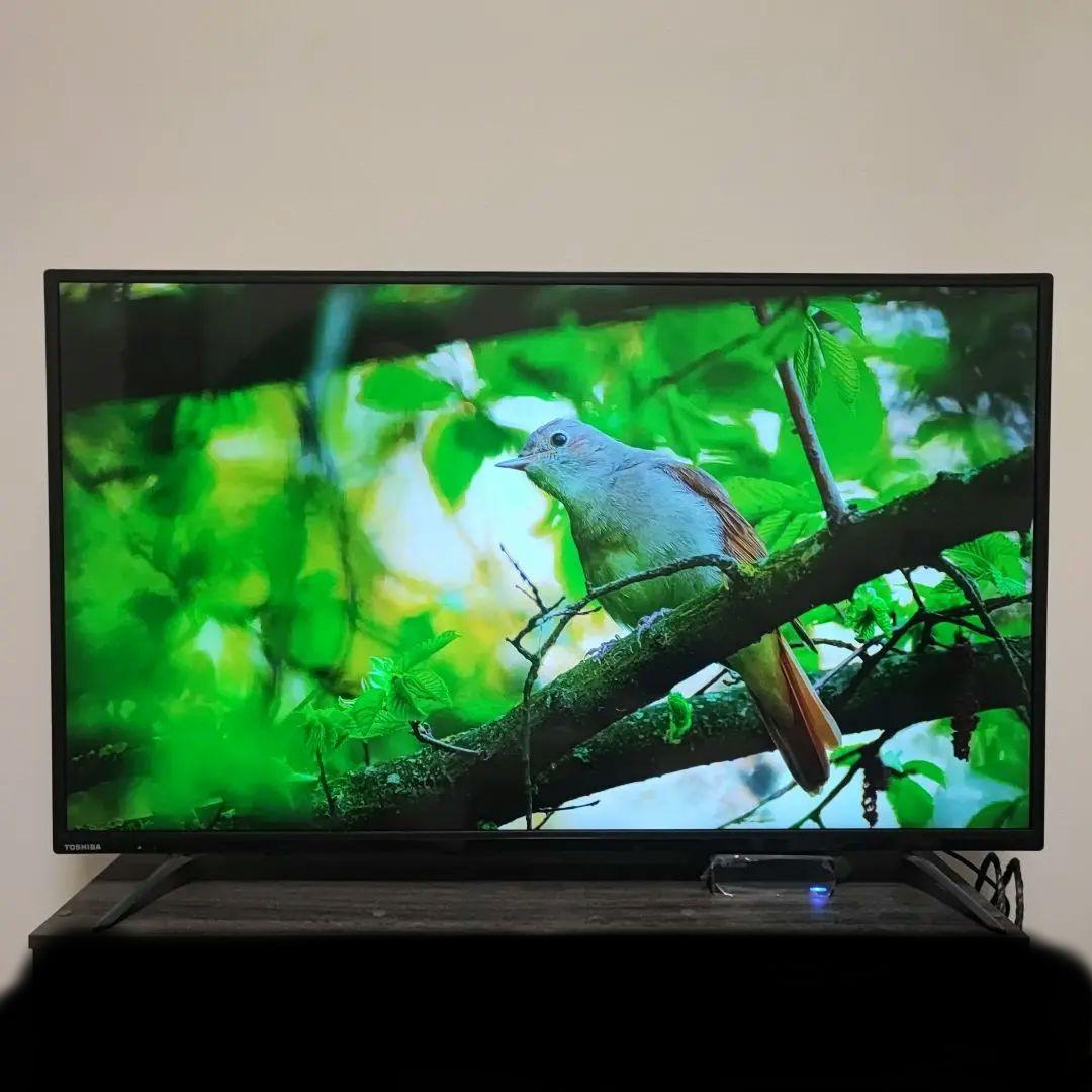 TOSHIBA REGZA 43C310X レグザ 43インチ 4K 美品