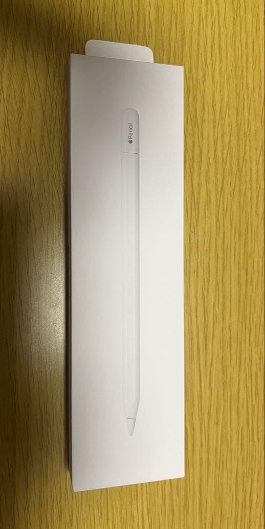 Apple Pencil TypeCモデル　試し書きのみ