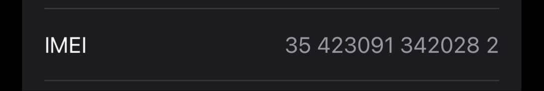 iPhone 15 Pro ナチュラルチタニウム 256 GB SIMフリー