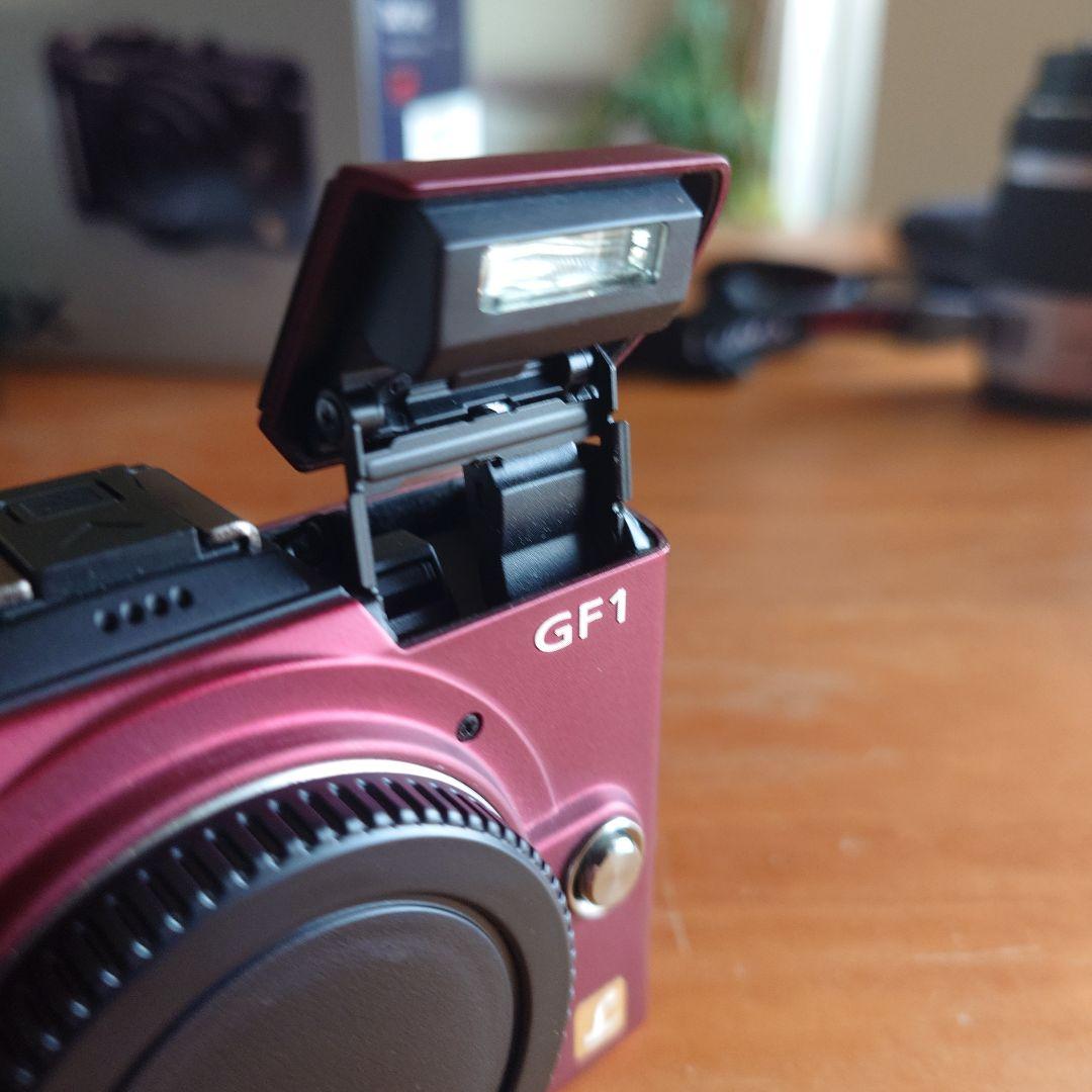 K*S様 Panasonic LUMIX DMC-GF1ボディ/パンケーキ&望遠