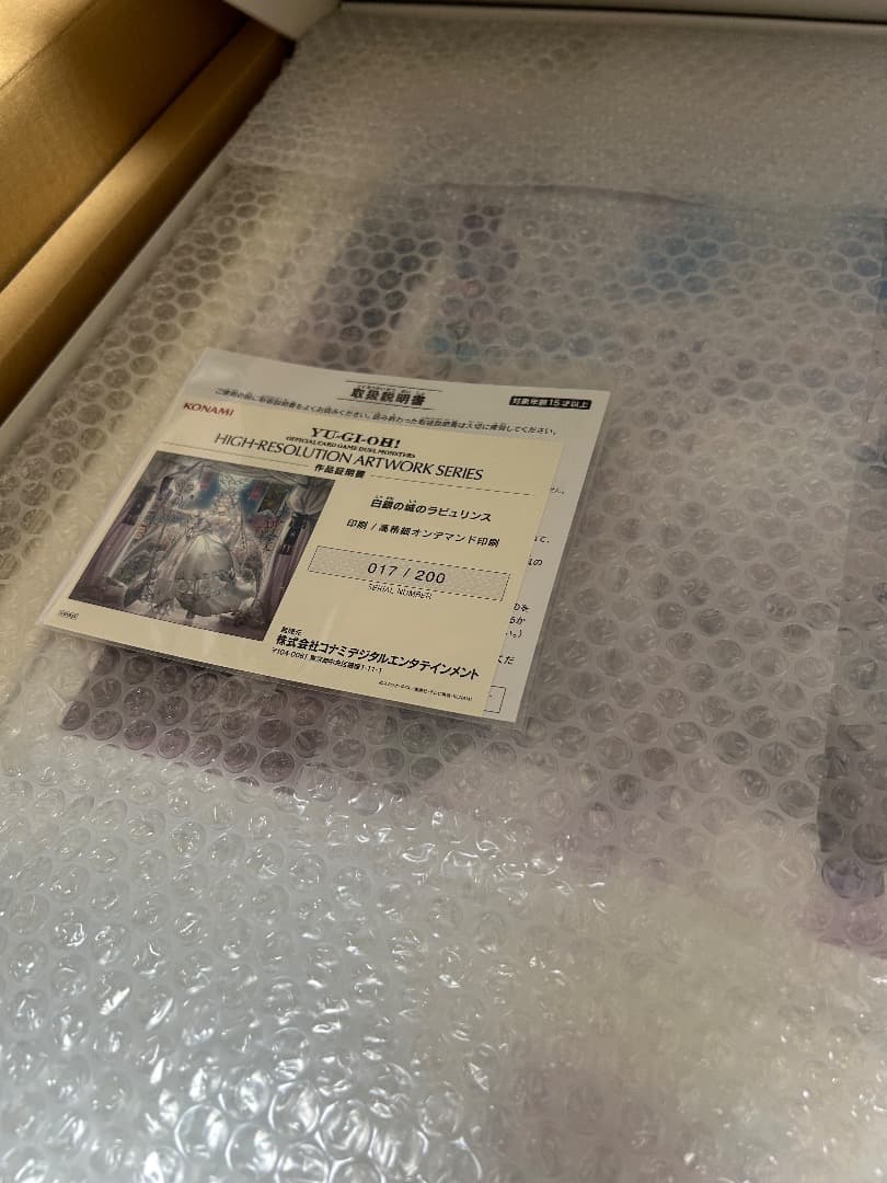 白銀の城のラビュリンス　HIGH-RESOLUTION ARTWORK