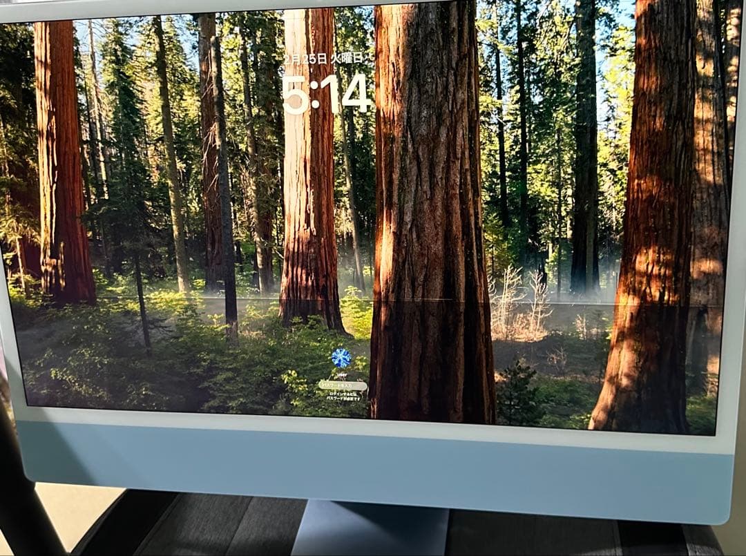 24インチ ブルー iMac 4.5K Retinaディスプレイモデル ジャンク