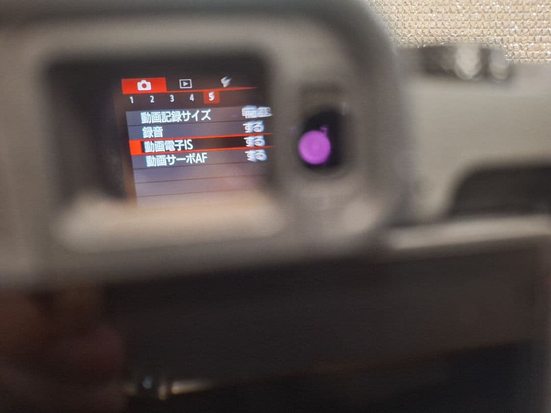 Canon EOS RP 自宅 元箱 室內用