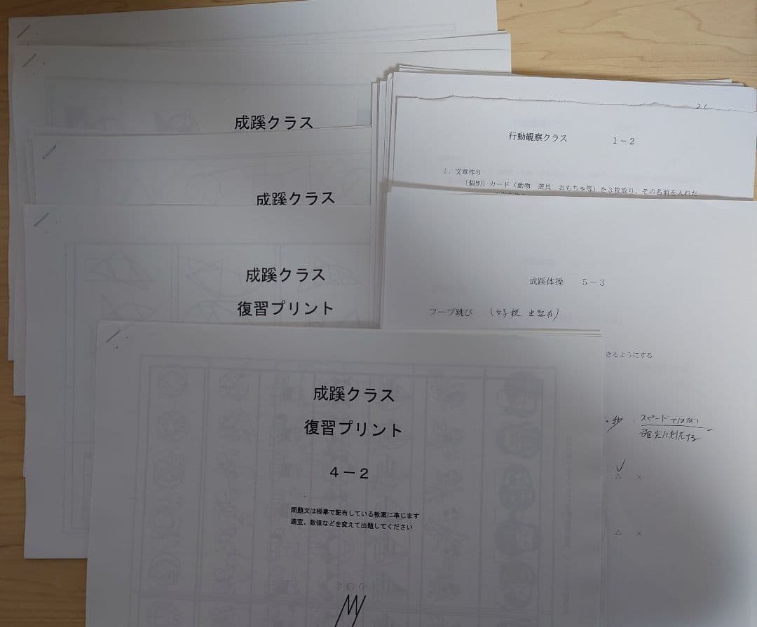 成蹊小学校　メリーランド　2025年　教案と復習・成蹊体操・行動観察　他セット