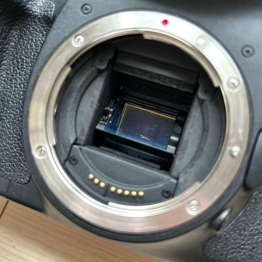 Canon EOS 7D レンズ バッテリーグリップ付き デジタル一眼レフカメラ