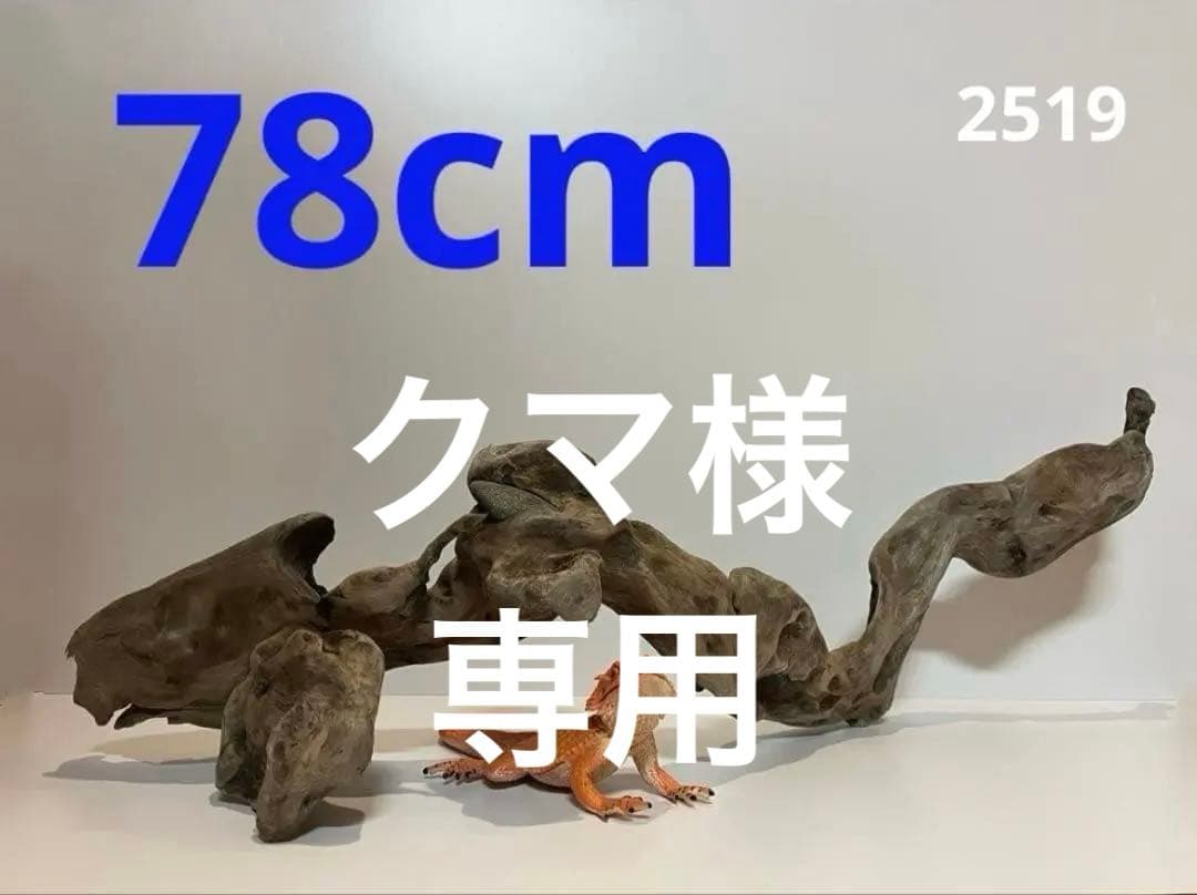 レイアウト用品 2519.1350.1502.2097.2115.2162.2355.2467