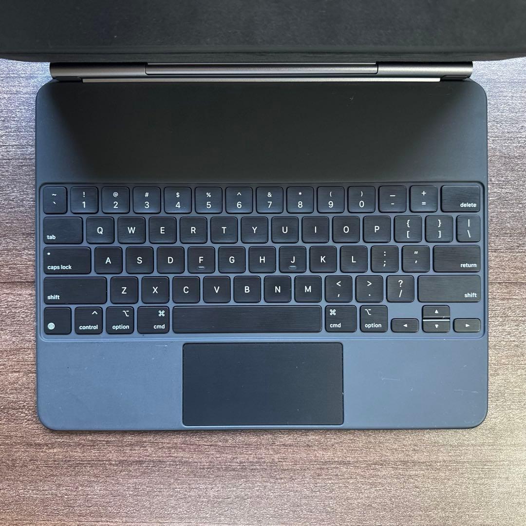 iPad Pro 12.9 第5世代 256GB セルラー