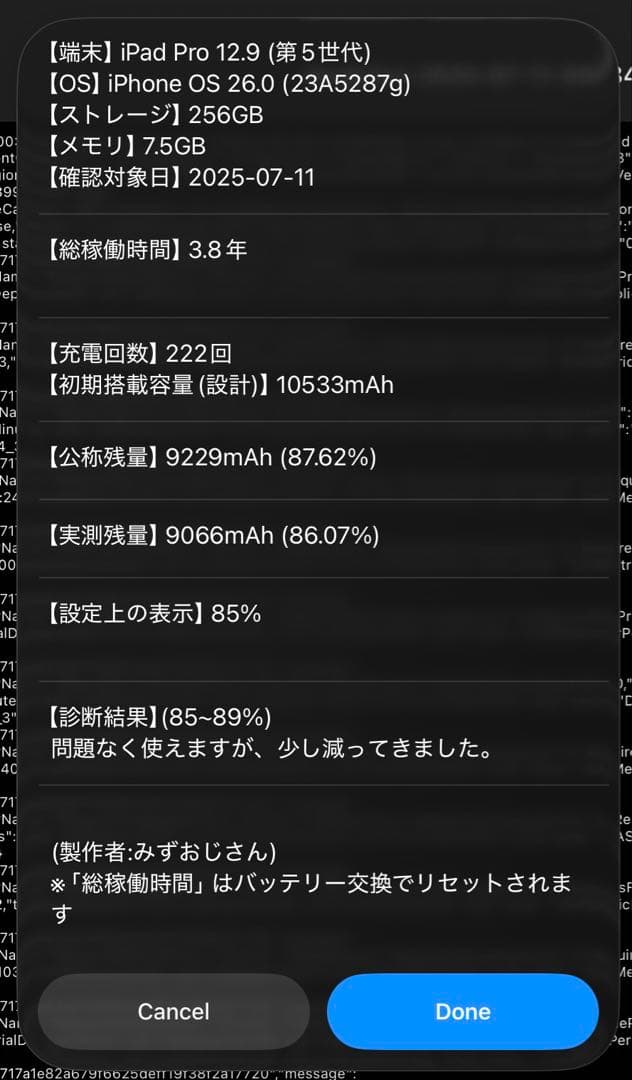 iPad Pro 12.9 第5世代 256GB セルラー