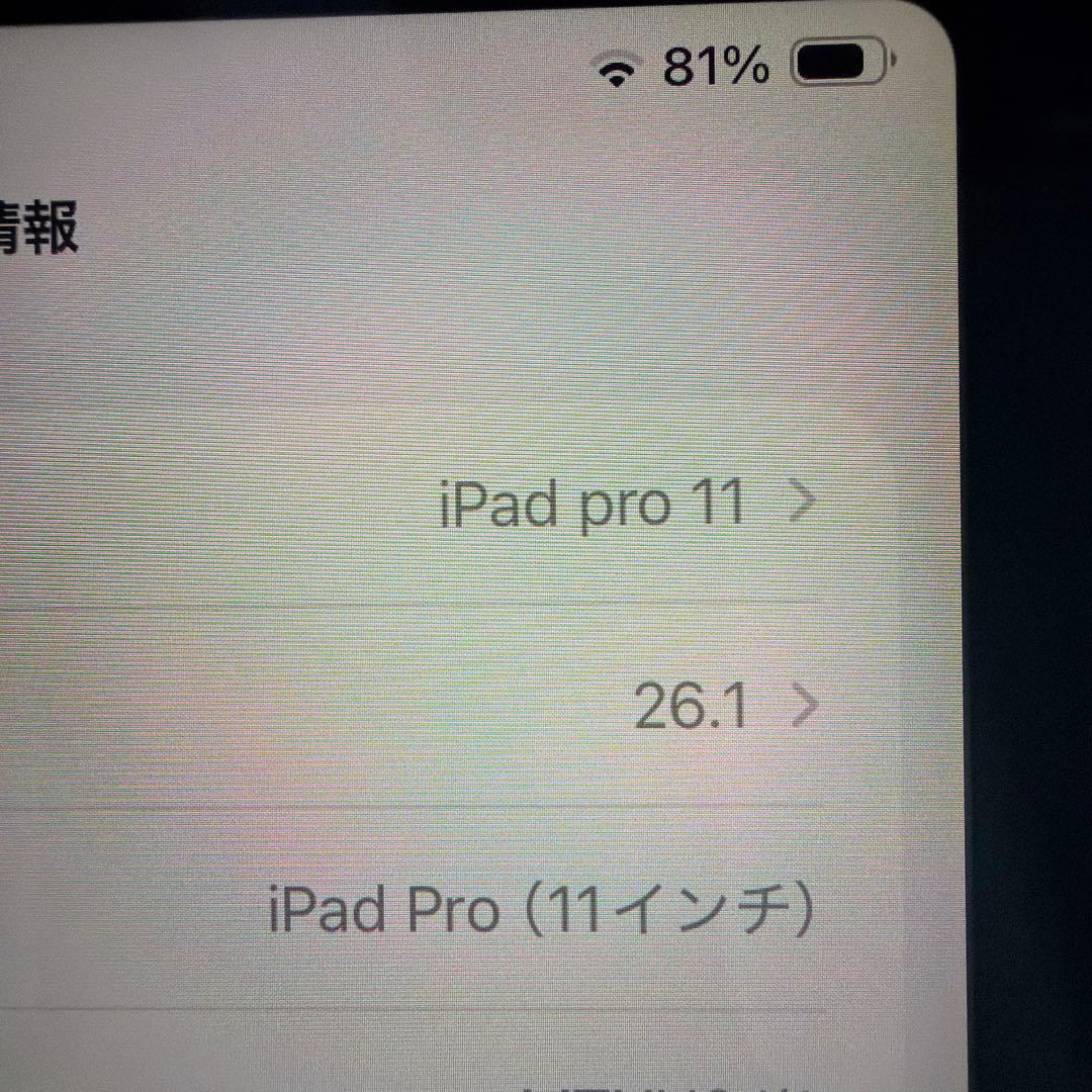 iPadPro 第1世代 512G