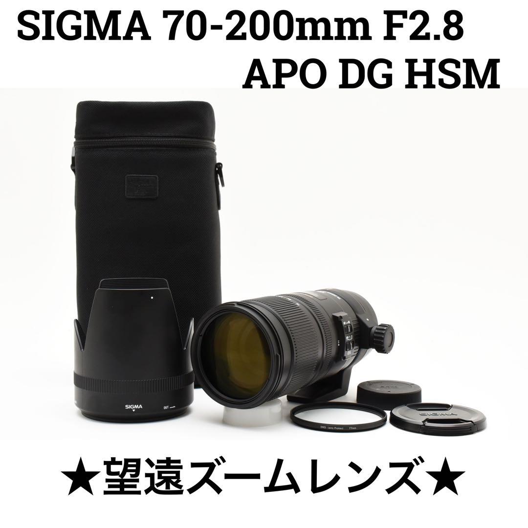 SIGMA 70-200mm f2.8 APO DG HSM Nikon ニコン