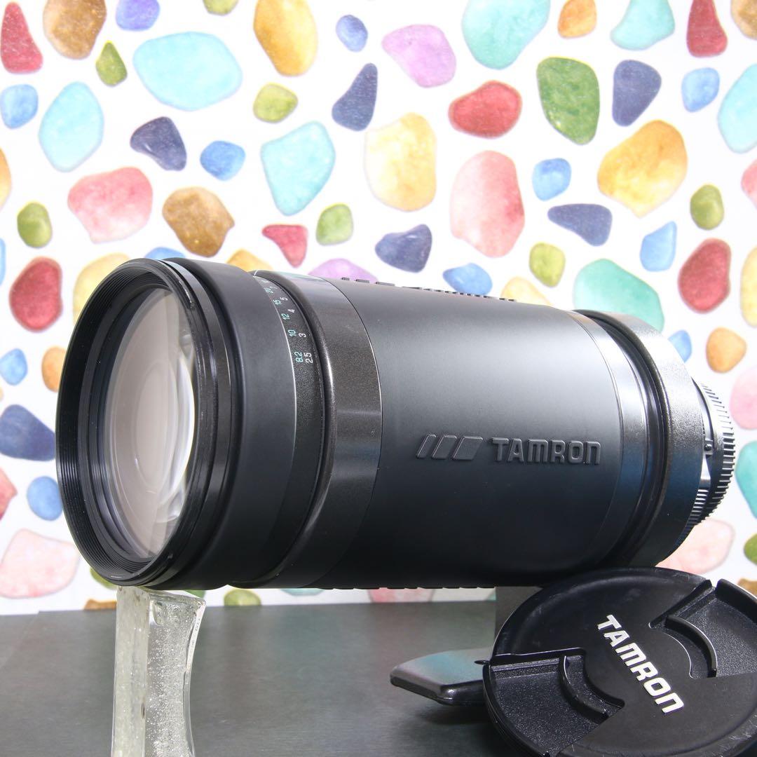 ♥︎◇高性能望遠レンズ♪ ◇TAMRON 200-400ｍｍ NIKON
