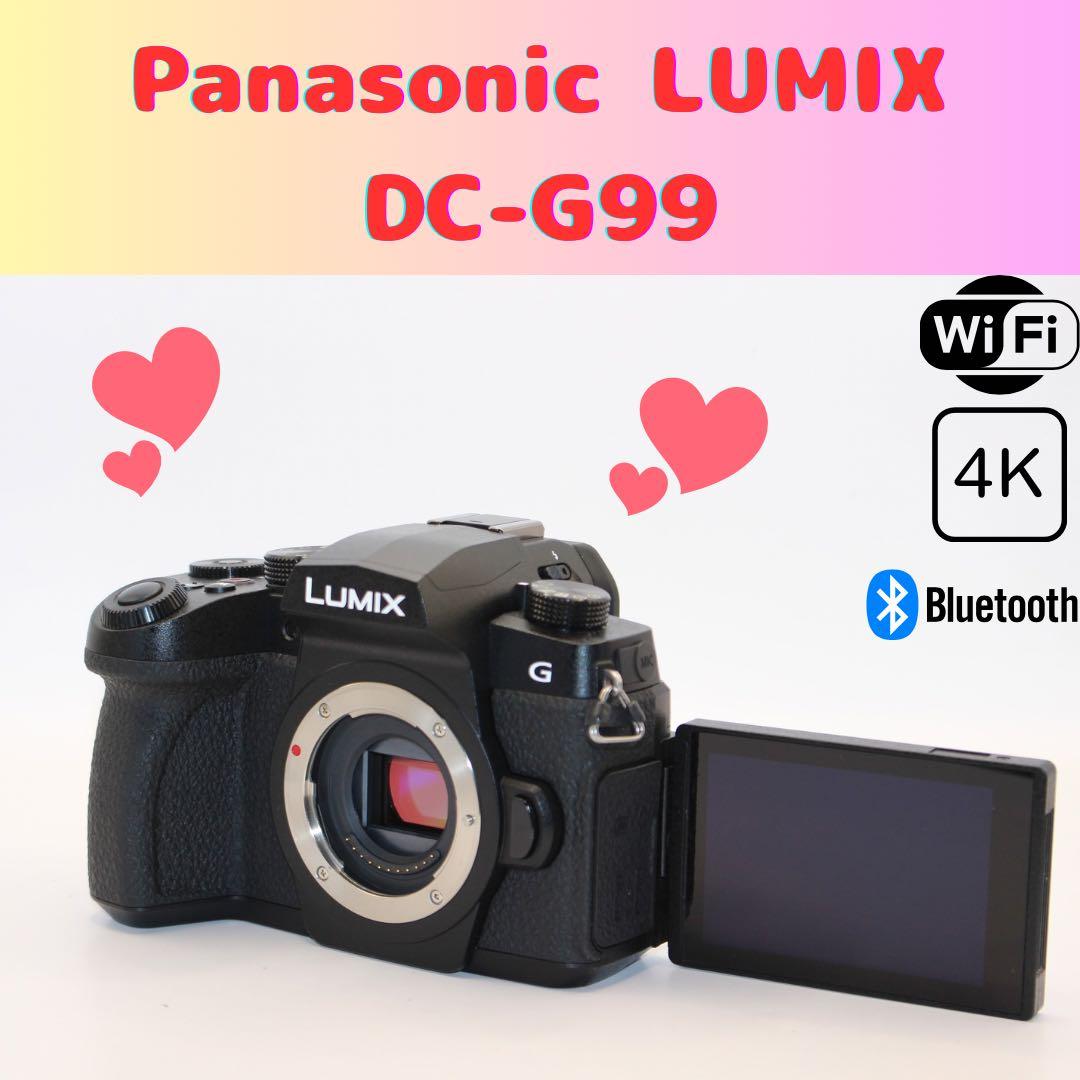 ★ショット数9289回★ LUMIX DC-G99 ボディ　ミラーレス