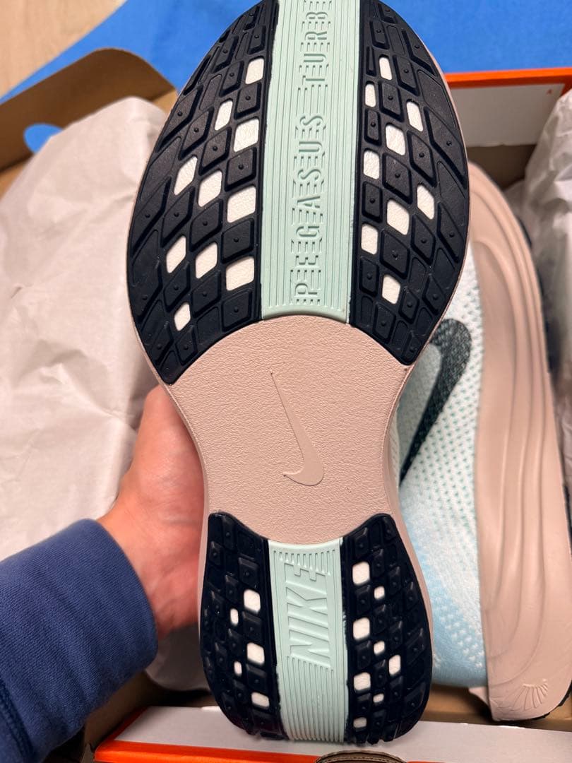 ナイキ ペガサス プラス　29.0