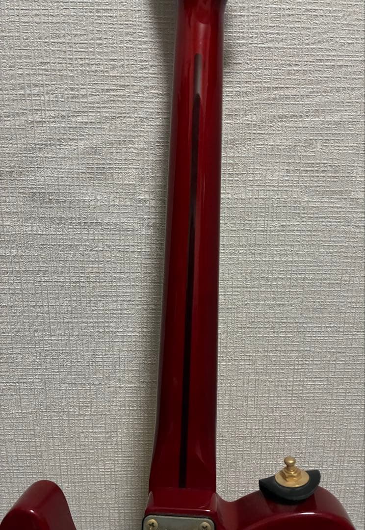 Bill Lawrence BKIM-60G 奥居香モデル アップグレード